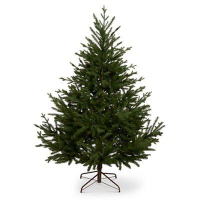 Spruce christmas deals tree