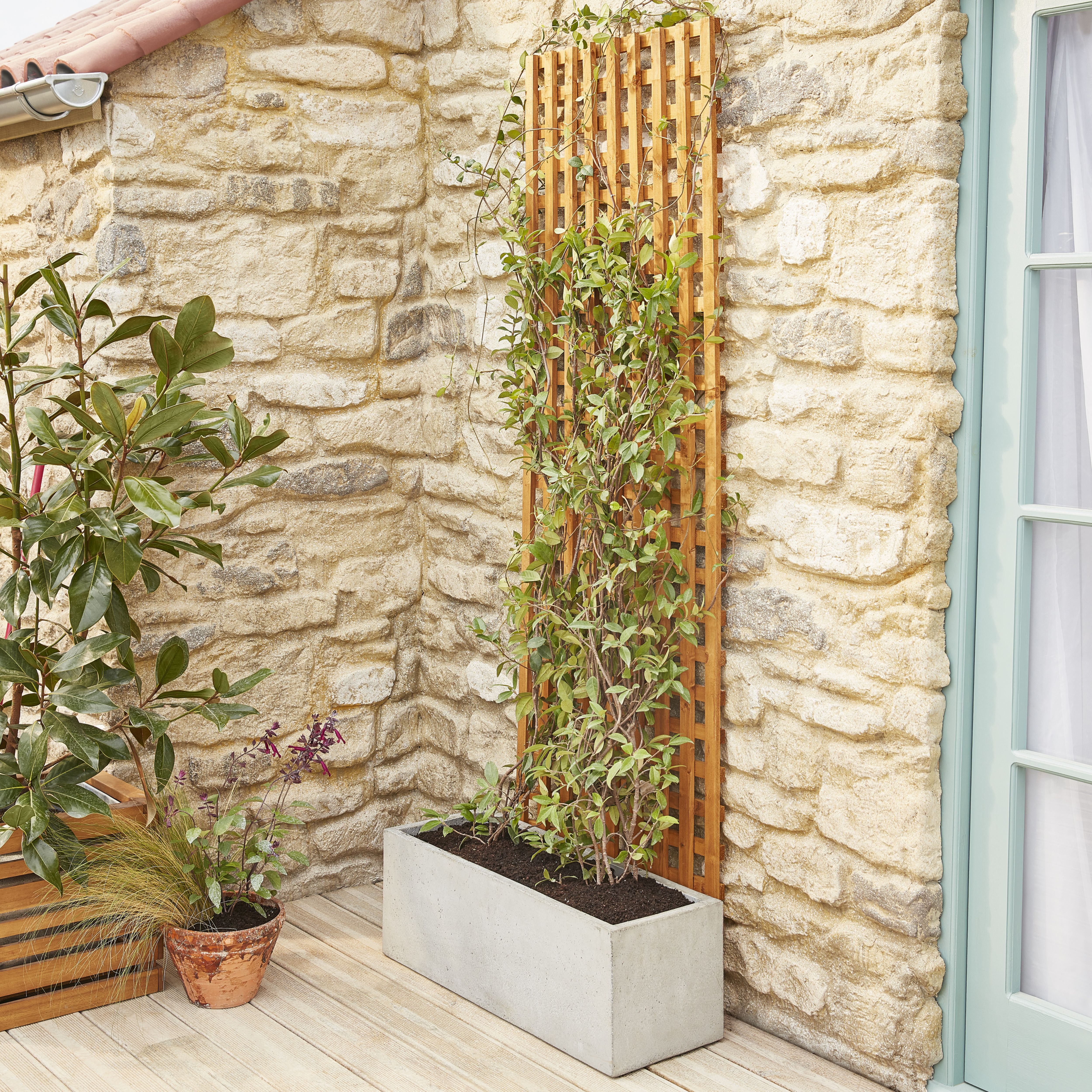 6ft Pine Trellis panel (W)122cm x (H)183cm - 5