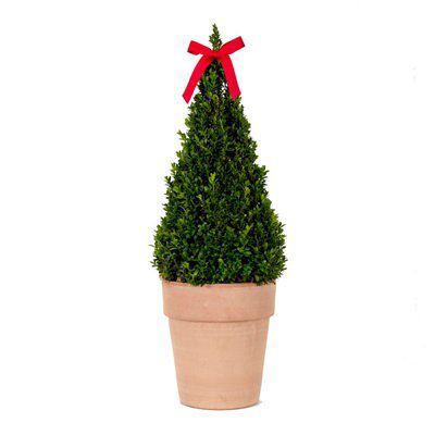 75cm Tree Artificial plant in Ceramic, grey-white-brown Pyramid Pot