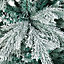 7ft Frozen Meribel Spruce Green & white Hinged Full Artificial Christmas tree