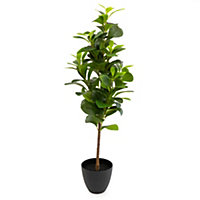 80cm Peperomia Artificial plant in Black Ribbed Pot