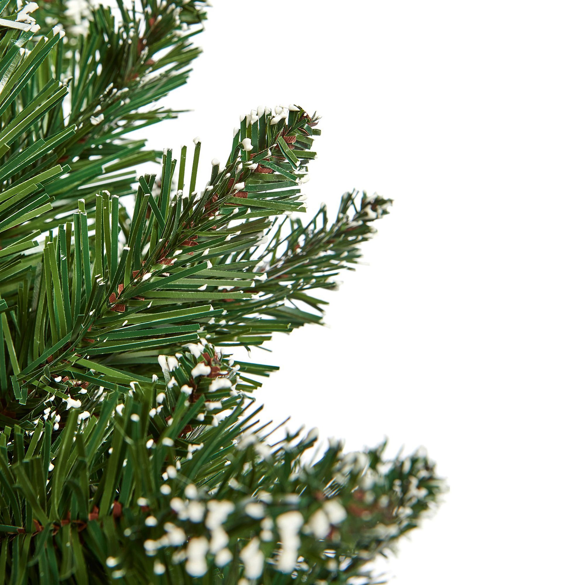 Rocky mountain pine tree christmas