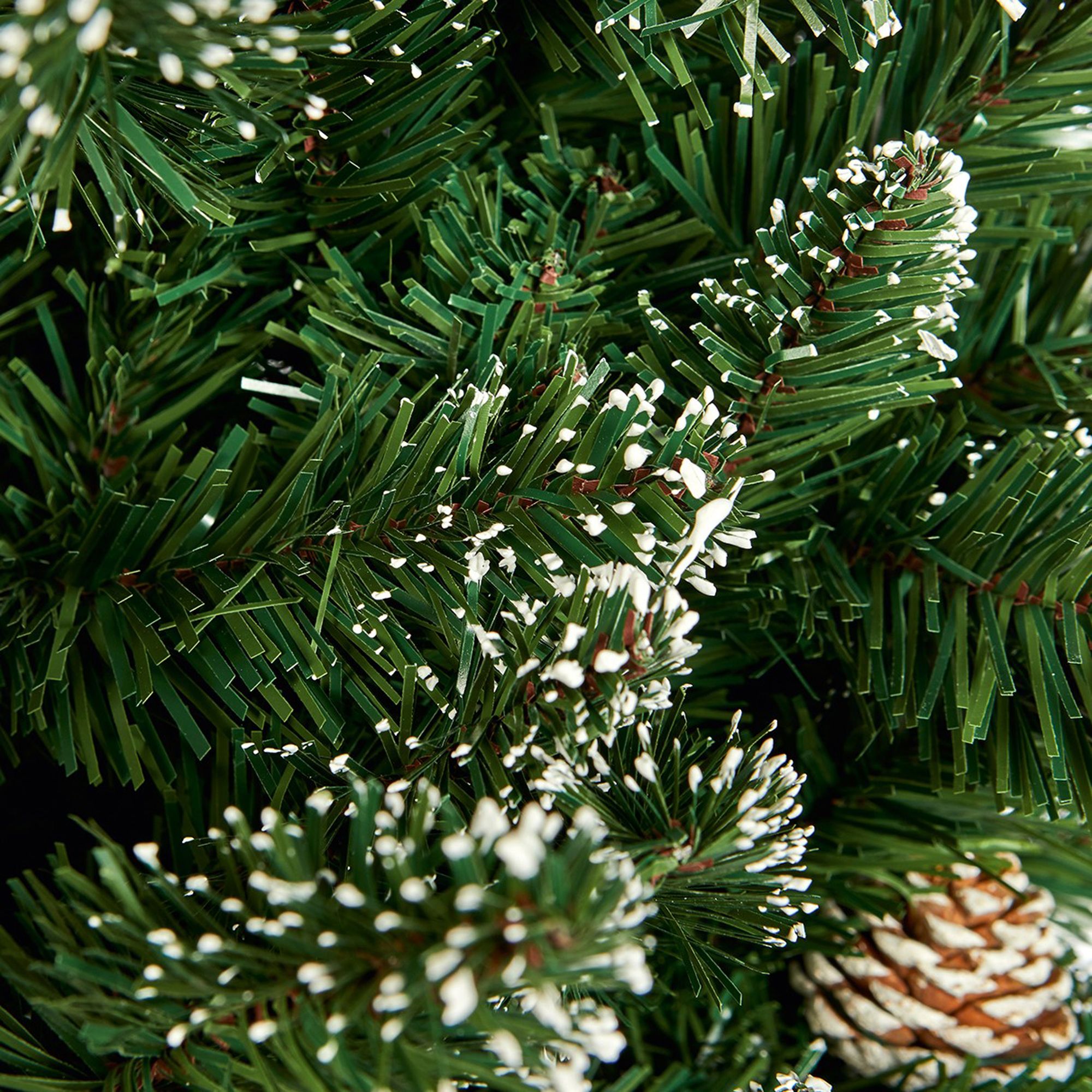 Rocky mountain pine tree christmas