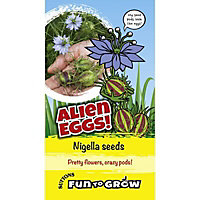 Alien eggs Nigella Seed