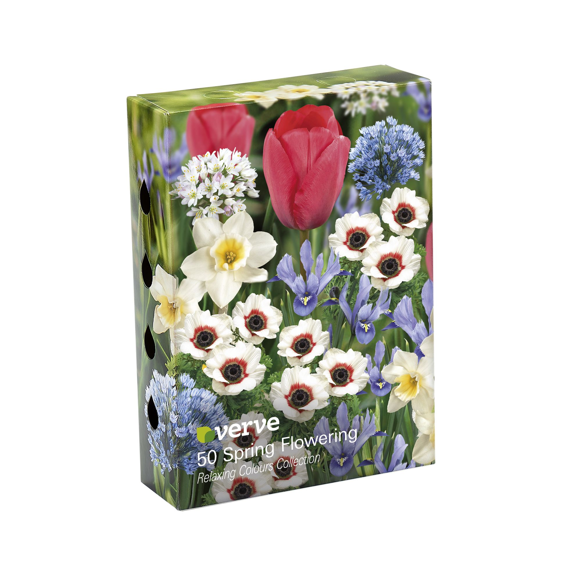 Allium roseum, Allium caeruleum, Tall Tulip Van Eijk, Anemone Bicolour, Dwarf Iris Alida, Dwarf Daffodil Tresamble 50 Flower bulbs