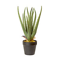 Aloe Artificial plant in Black Pot