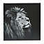 Animals Black & white Canvas art, Set of 3 (H)300mm (W)900mm