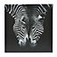 Animals Black & white Canvas art, Set of 3 (H)300mm (W)900mm