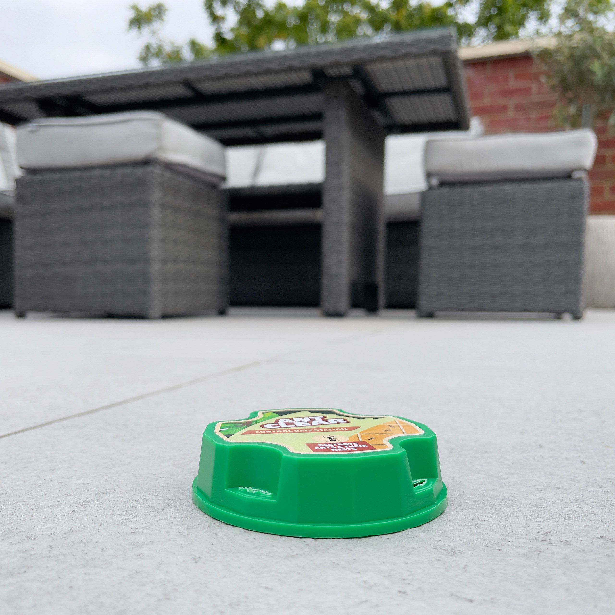 Ant Clear Ants Bait station, Pack of 2