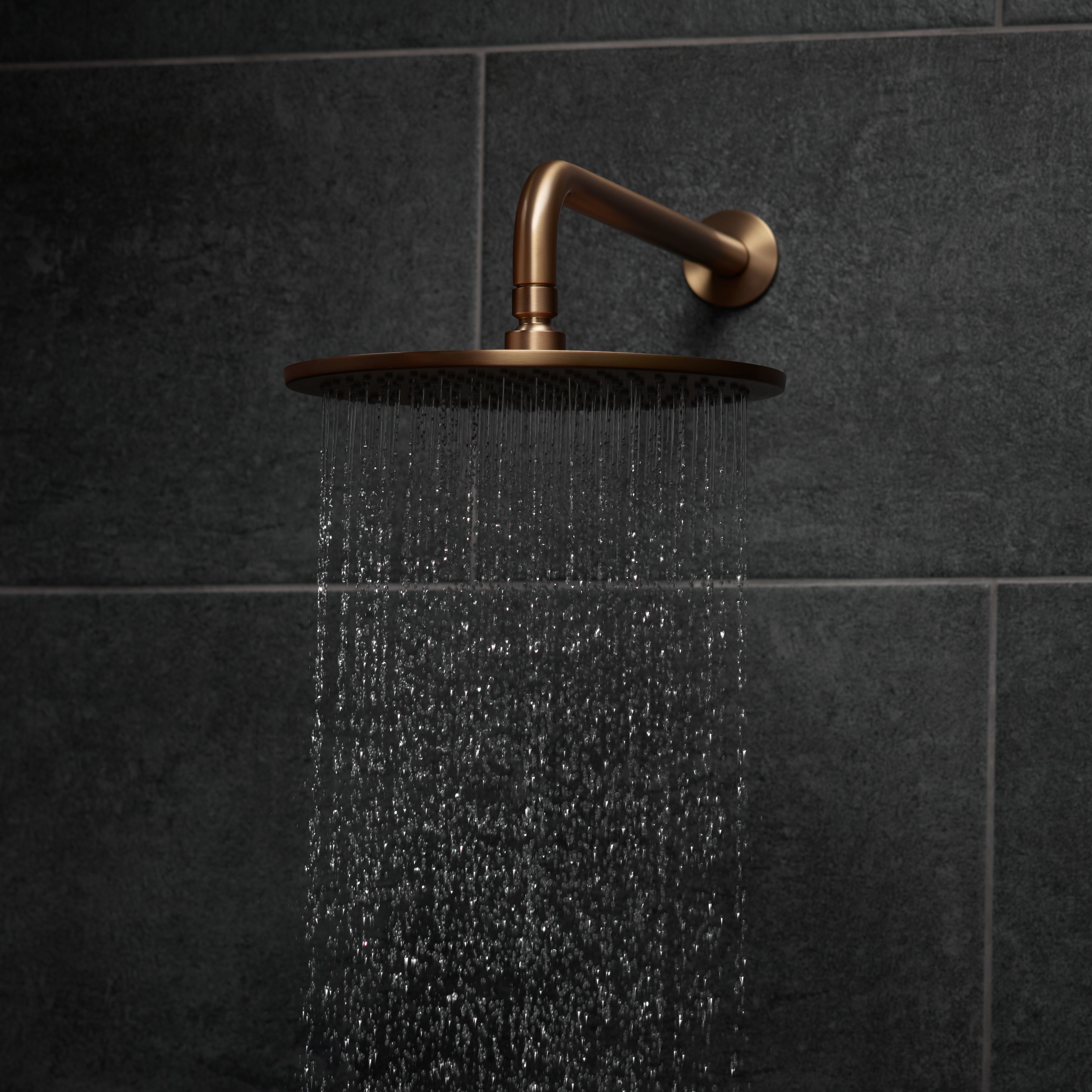 Aquadry Oria Bronze effect Single-spray pattern Shower head - 3