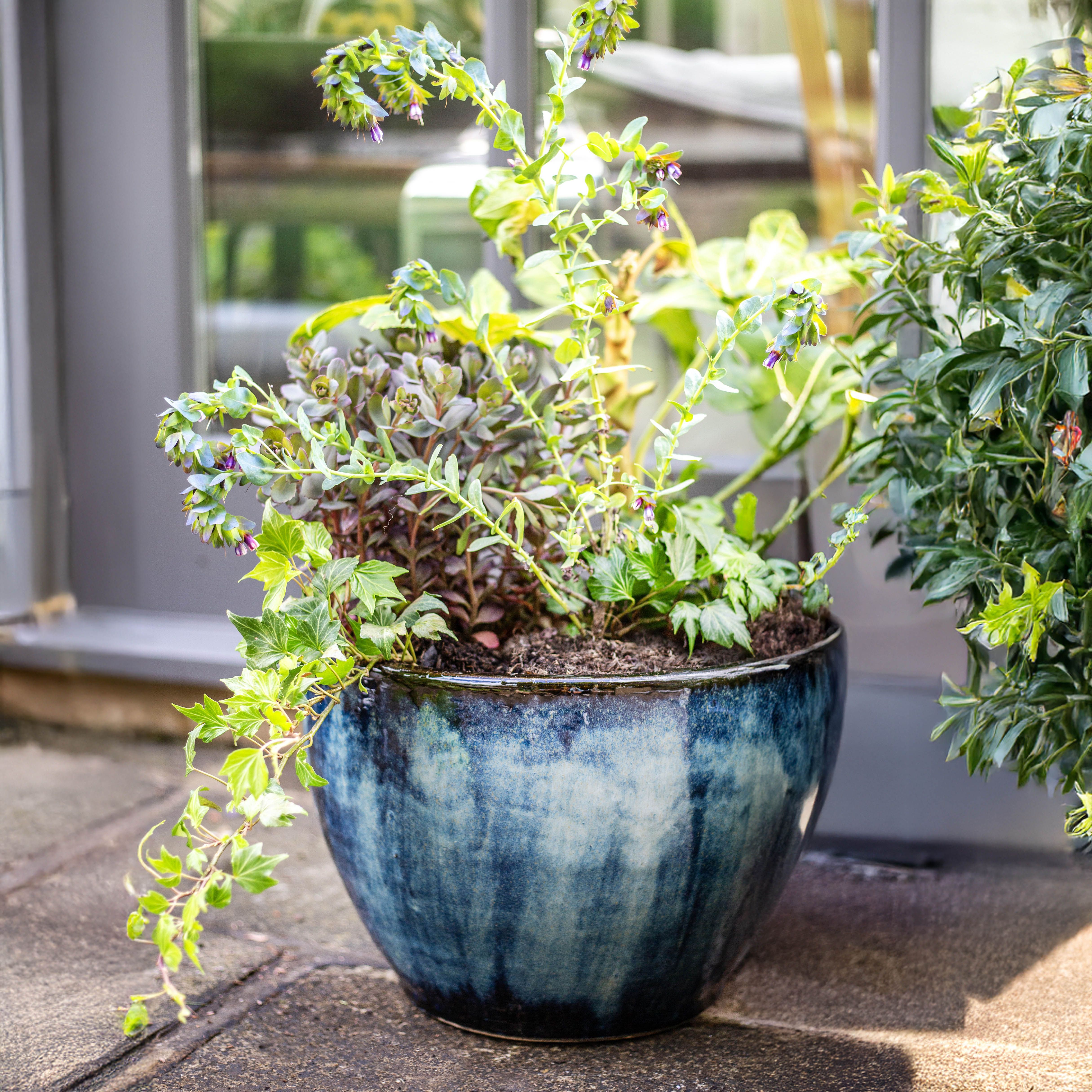 Aquaflora Glazed Blue Terracotta Plant pot (Dia) 21cm, (H)18cm