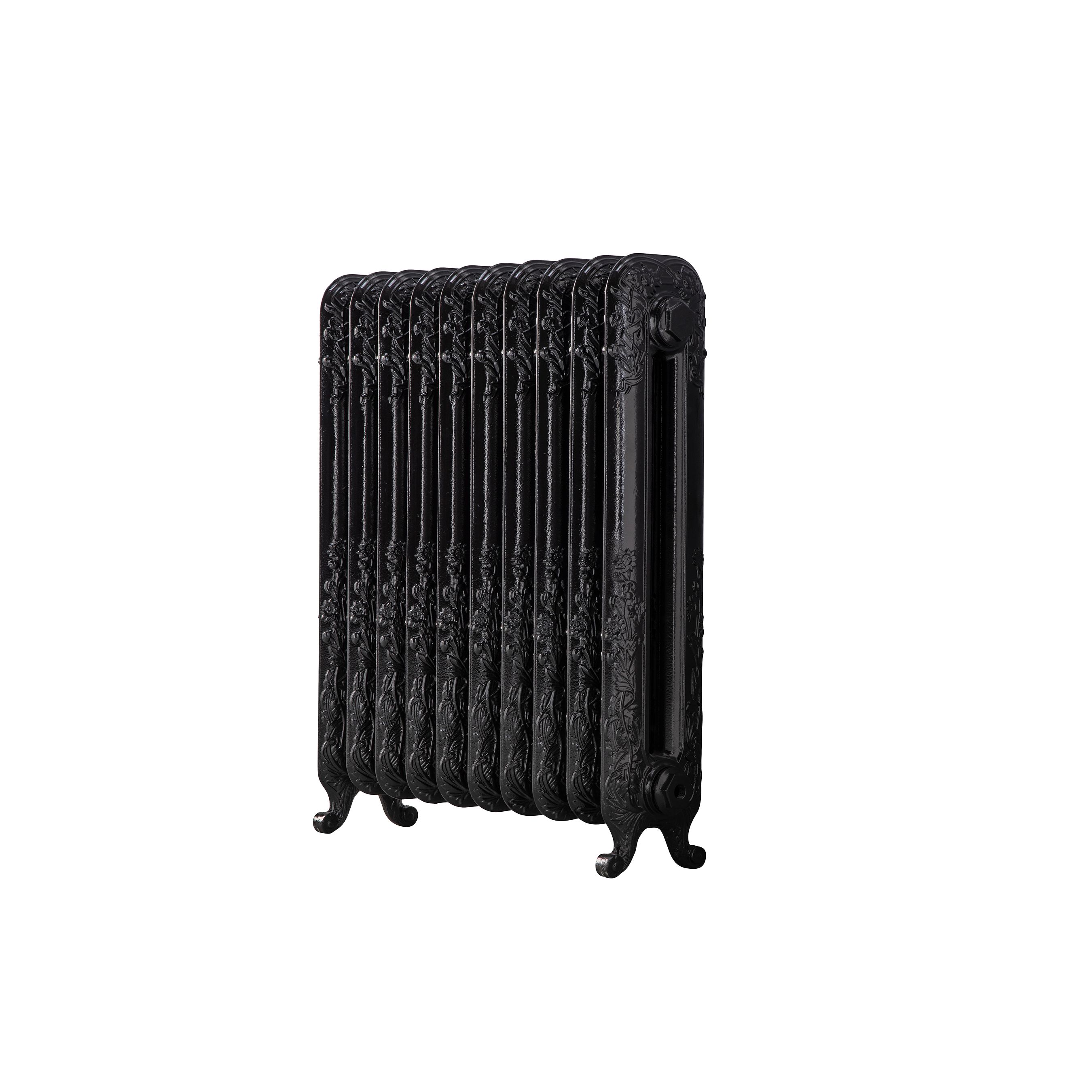 Arroll Daisy Cast iron Black 10 Column Radiator, (W)684mm x (H)597mm