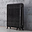 Arroll Daisy Cast iron Black 10 Column Radiator, (W)684mm x (H)794mm