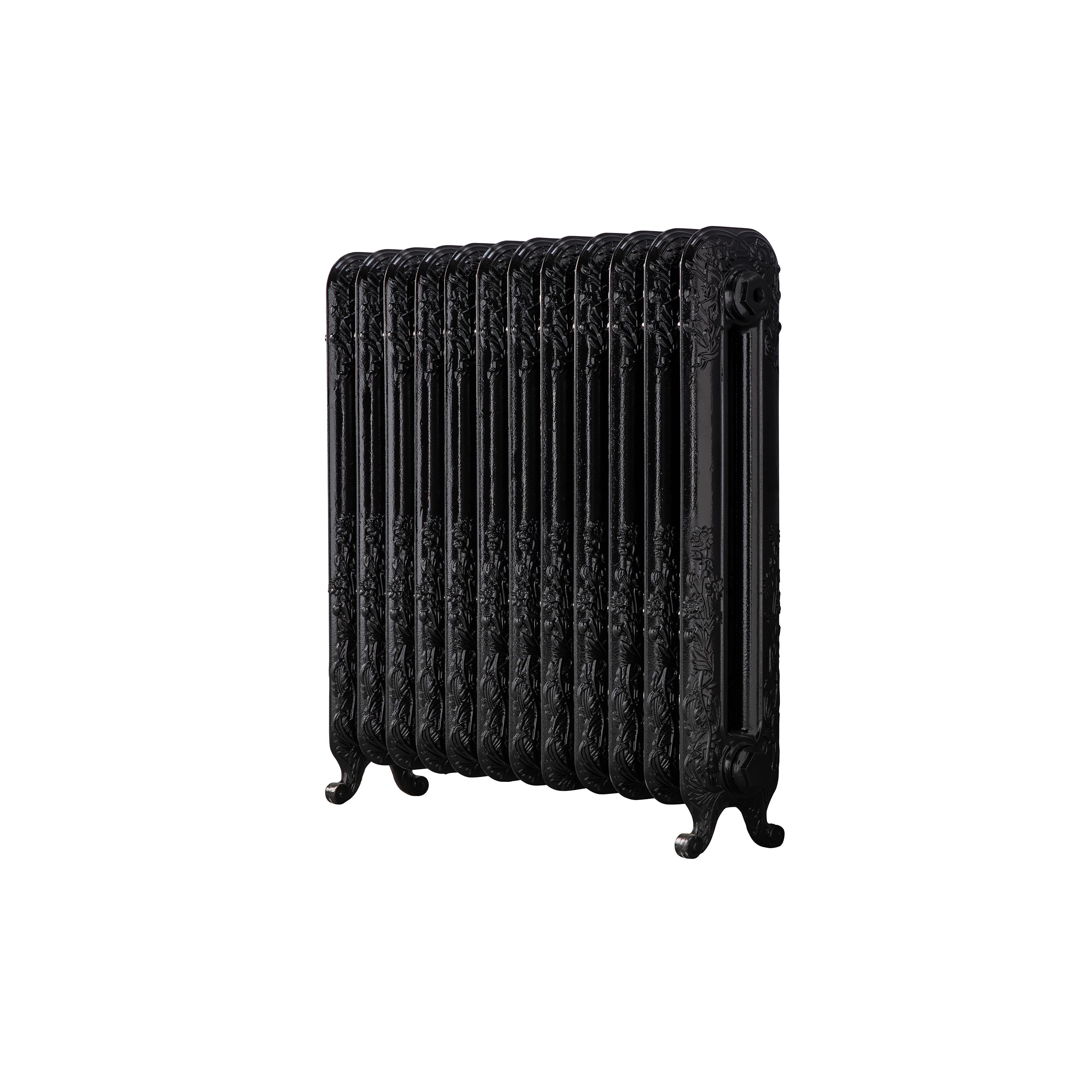 Arroll Daisy Cast iron Black 12 Column Radiator, (W)814mm x (H)549mm