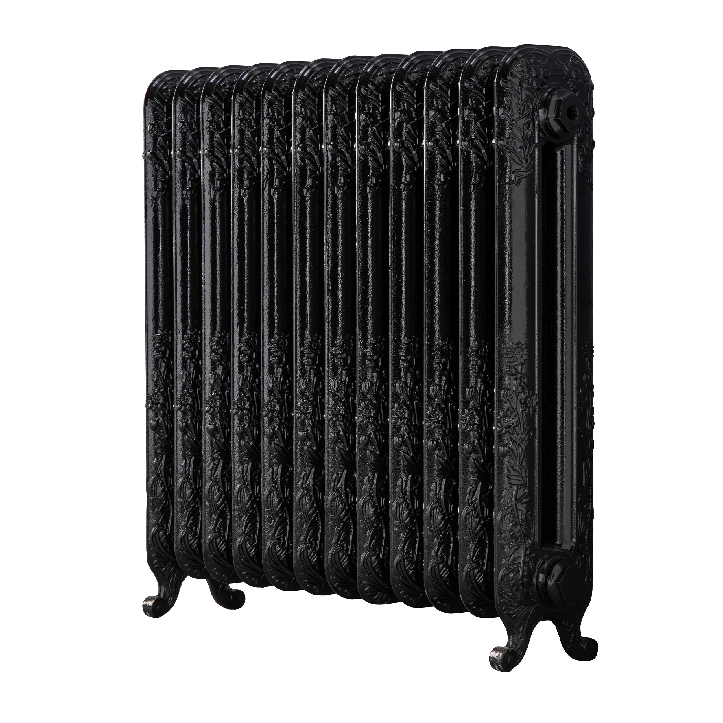 Arroll Daisy Cast iron Black 12 Column Radiator, (W)814mm x (H)794mm