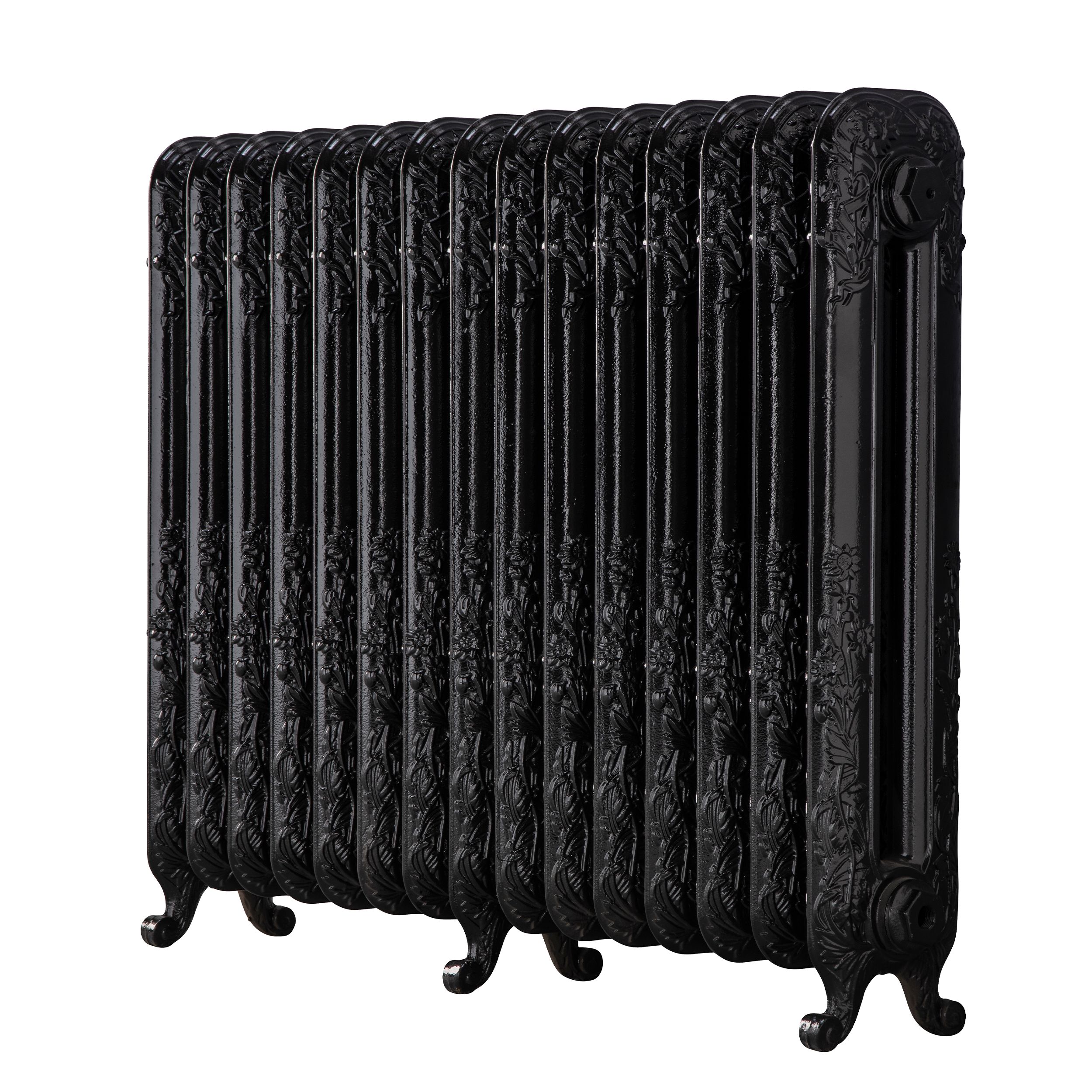 Arroll Daisy Cast iron Black 15 Column Radiator, (W)1009mm x (H)794mm