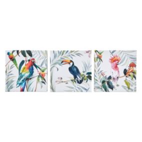 Art for the Home Tropical Birds Multicoloured Canvas art, Set of 3 (H)30cm x (W)30cm