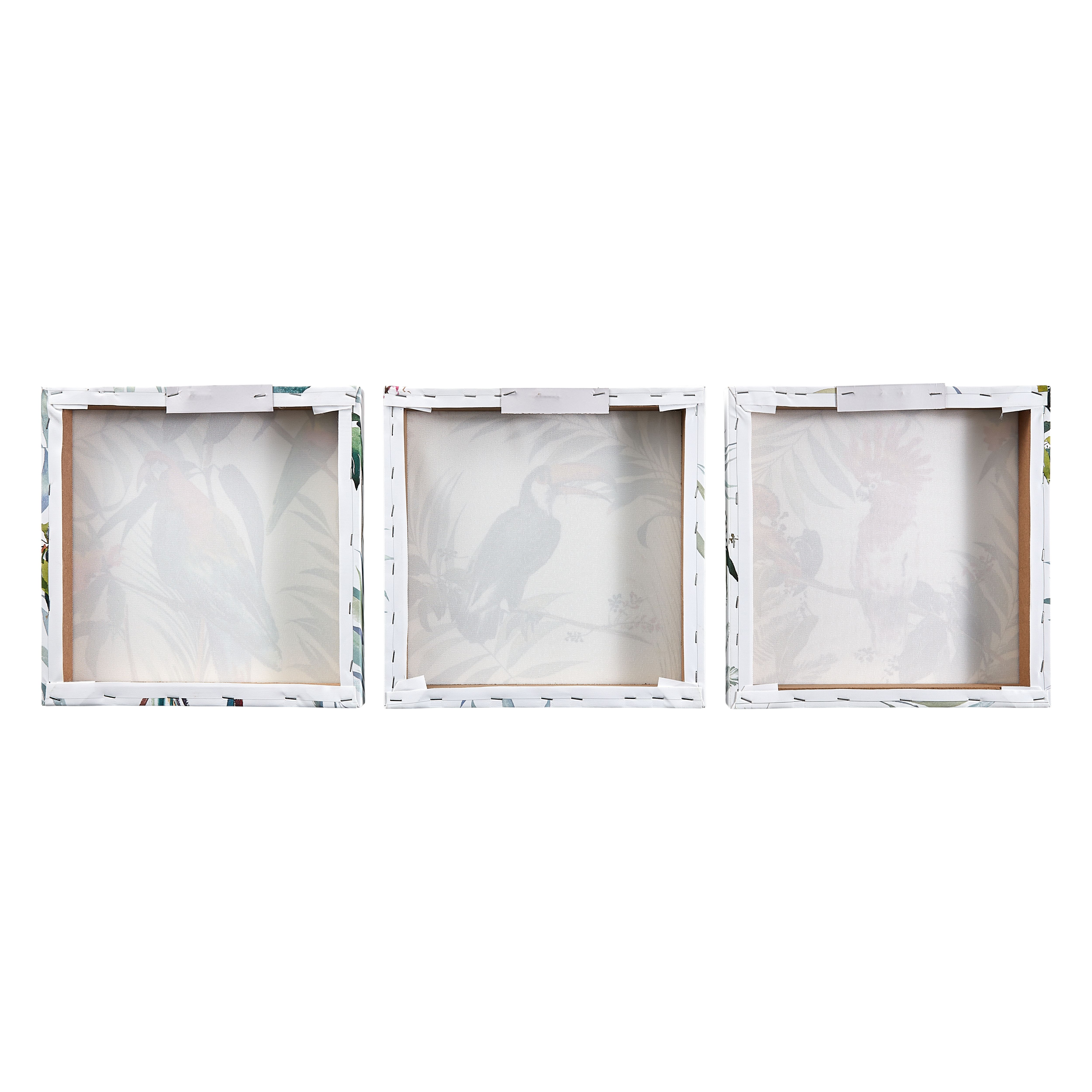 Art for the Home Tropical Birds Multicoloured Canvas art, Set of 3 (H)30cm x (W)30cm