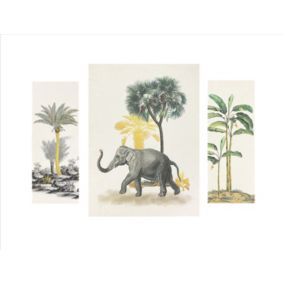 Arthouse Animal Elephant Beige Canvas art, Set of 3 (H)66cm x (W)48cm