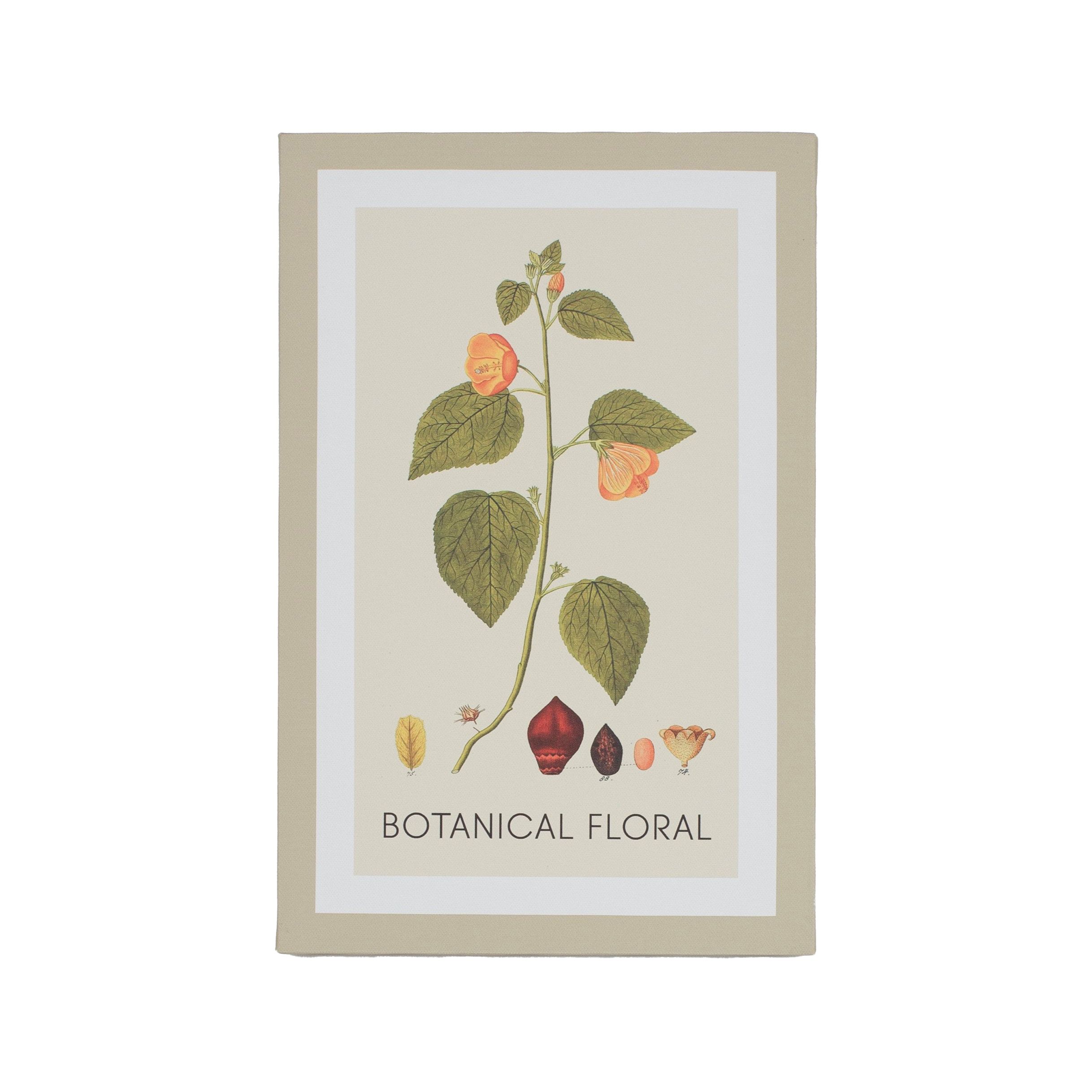 Arthouse Botanical Neutral Tones Mixed size Canvas art, Set of 6