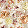 As Creation Wall Fashion Facade Cream, orange & pink Floral Embossed Wallpaper