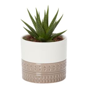Assorted in 9cm Assorted Geometric Ceramic Decorative pot