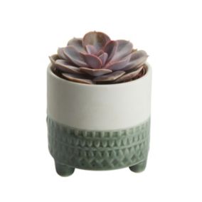 Assorted in 9cm Assorted Succulent Ceramic Decorative pot