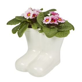 Assorted plant in Cream Ceramic Welly