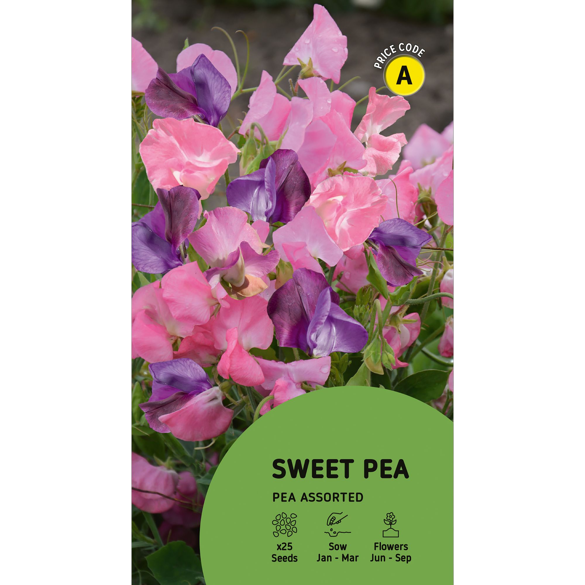 Assorted Sweet Pea Flower Seeds