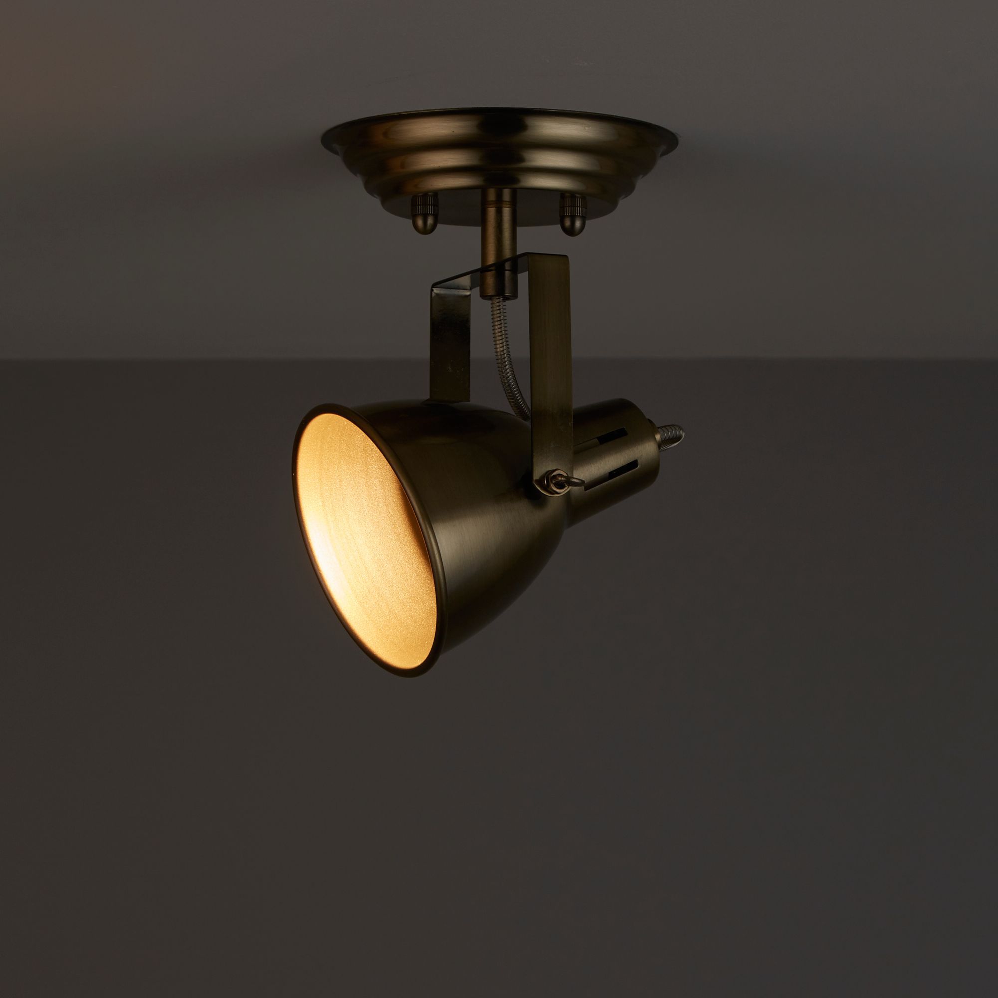 Brushed shop brass spotlights