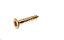AVF Brass Furniture screw (Dia)3.5mm (L)20mm, Pack of 25