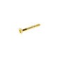 AVF Brass Furniture screw (Dia)3.5mm (L)25mm, Pack of 25