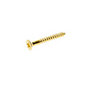 AVF Brass Furniture screw (Dia)3.8mm (L)30mm, Pack of 25