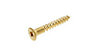 AVF Brass Furniture screw (Dia)3mm (L)20mm, Pack of 25