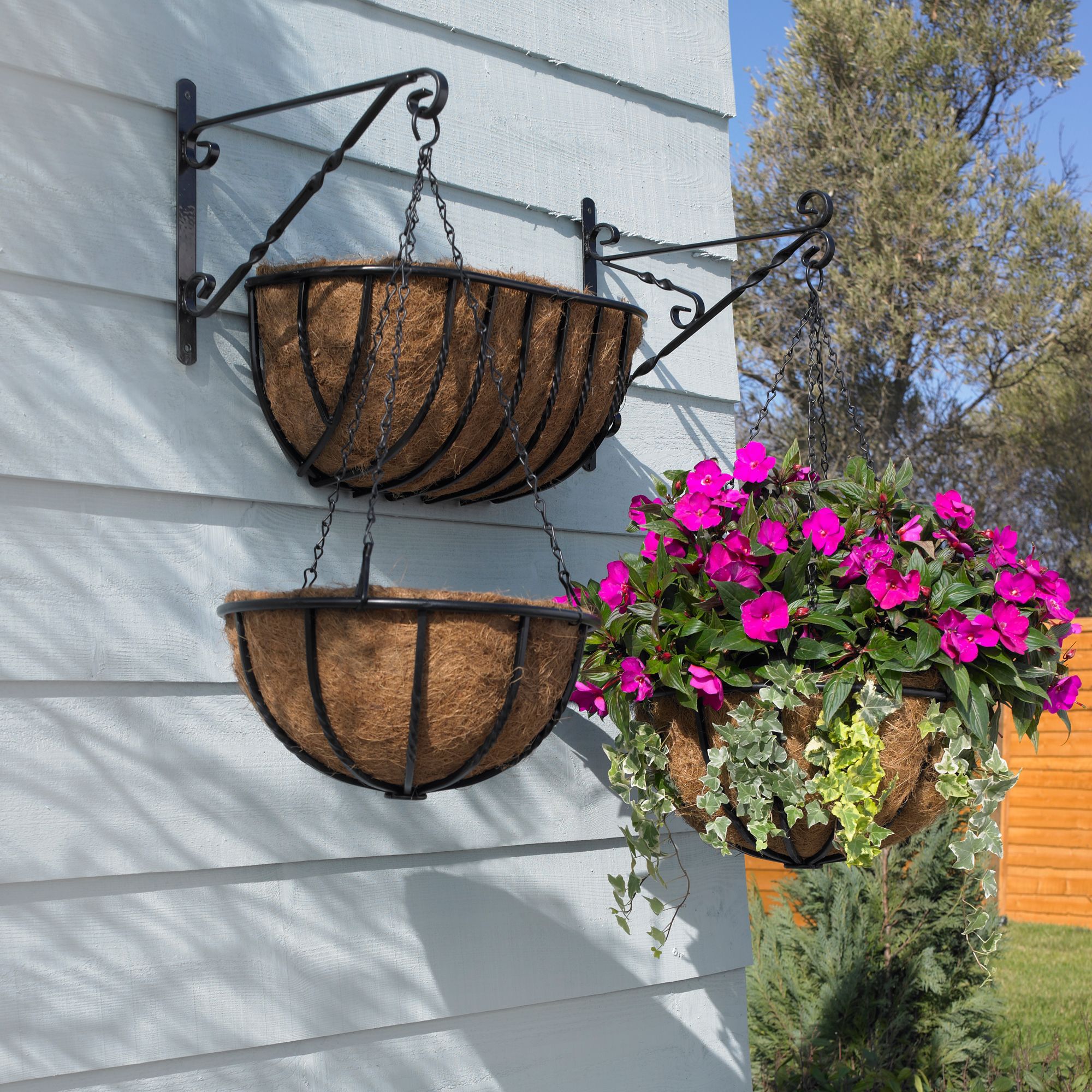 B&q hanging baskets discount