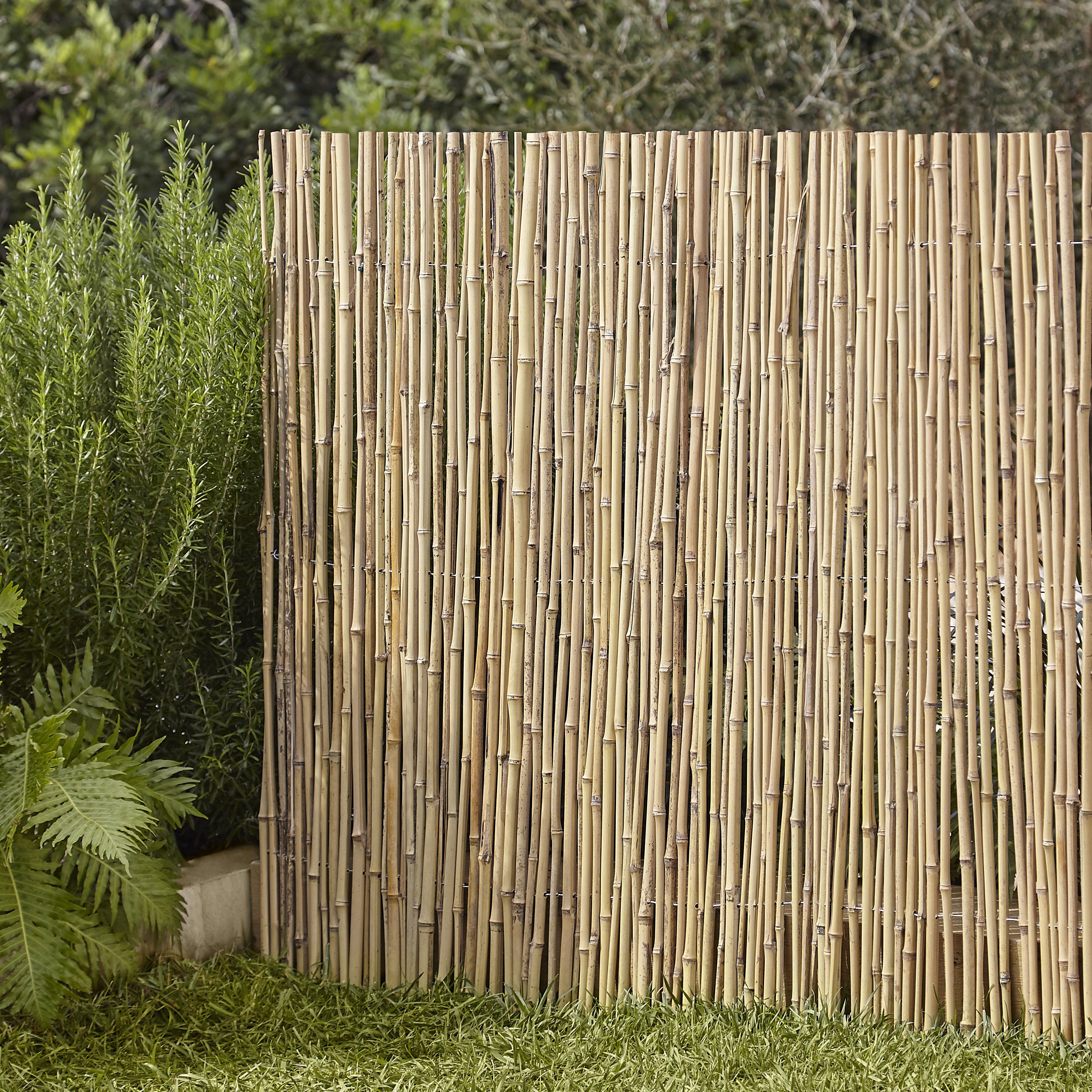 Bamboo Garden Screen H 1 5m W 3m Diy At B Q