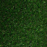 Banbury High density Artificial grass 12m² (T)30mm