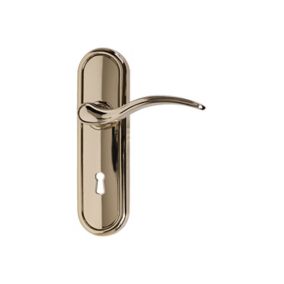 Basta Polished Brass effect Zinc alloy Curved Lock Lever on backplate handle (L)120mm (D)10mm, Pair