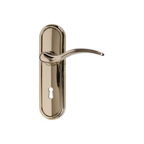 Basta Polished Brass effect Zinc alloy Curved Lock Lever on backplate handle (L)120mm, Pair