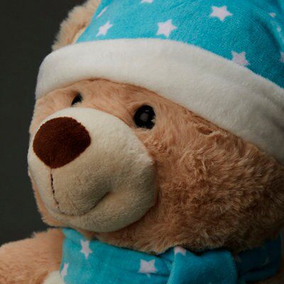 Battery-powered Bluetooth speaker bear with LED colour changing lights, includes Demo melody song - Winter Wonderland Bear