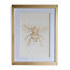 Bee White Framed print (H)430mm (W)330mm