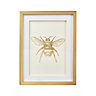 Bee White Framed print (H)43cm x (W)33cm