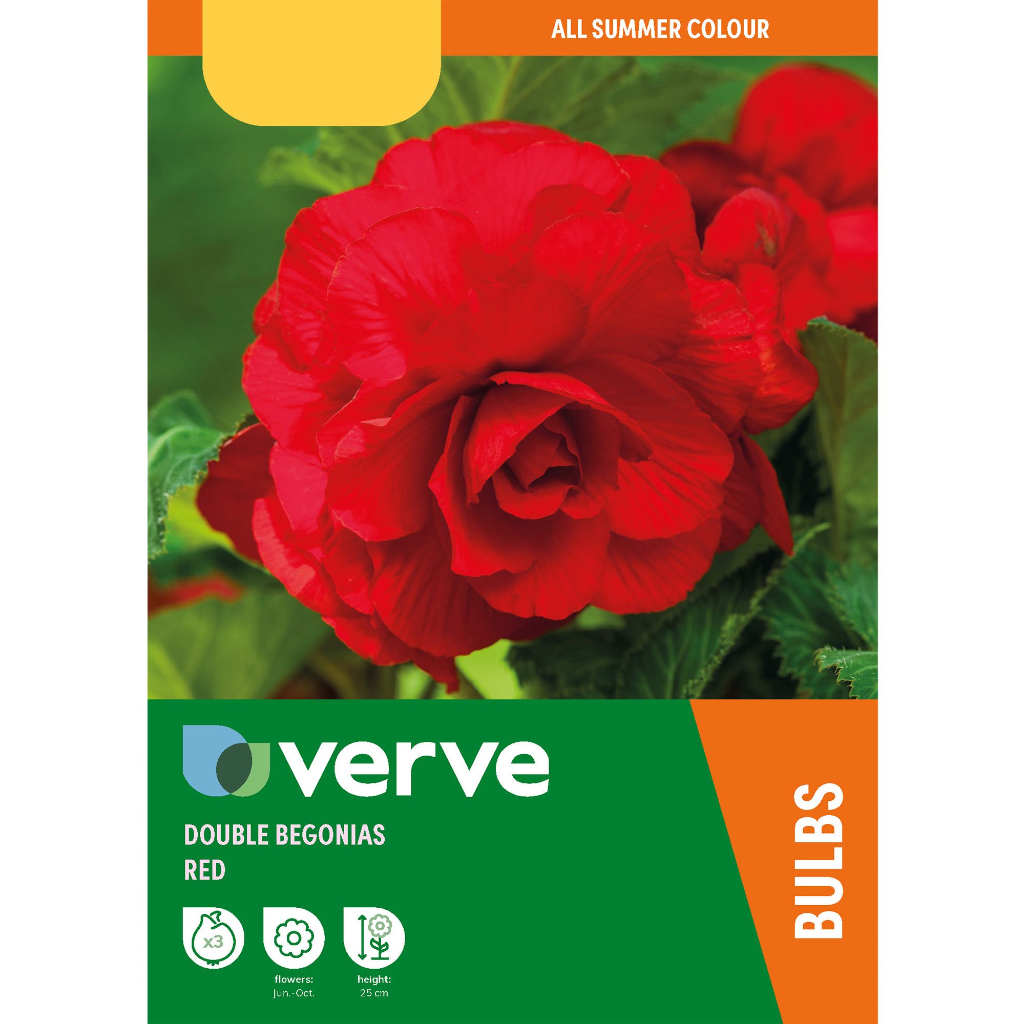 Begonia Red 3 Flower bulbs