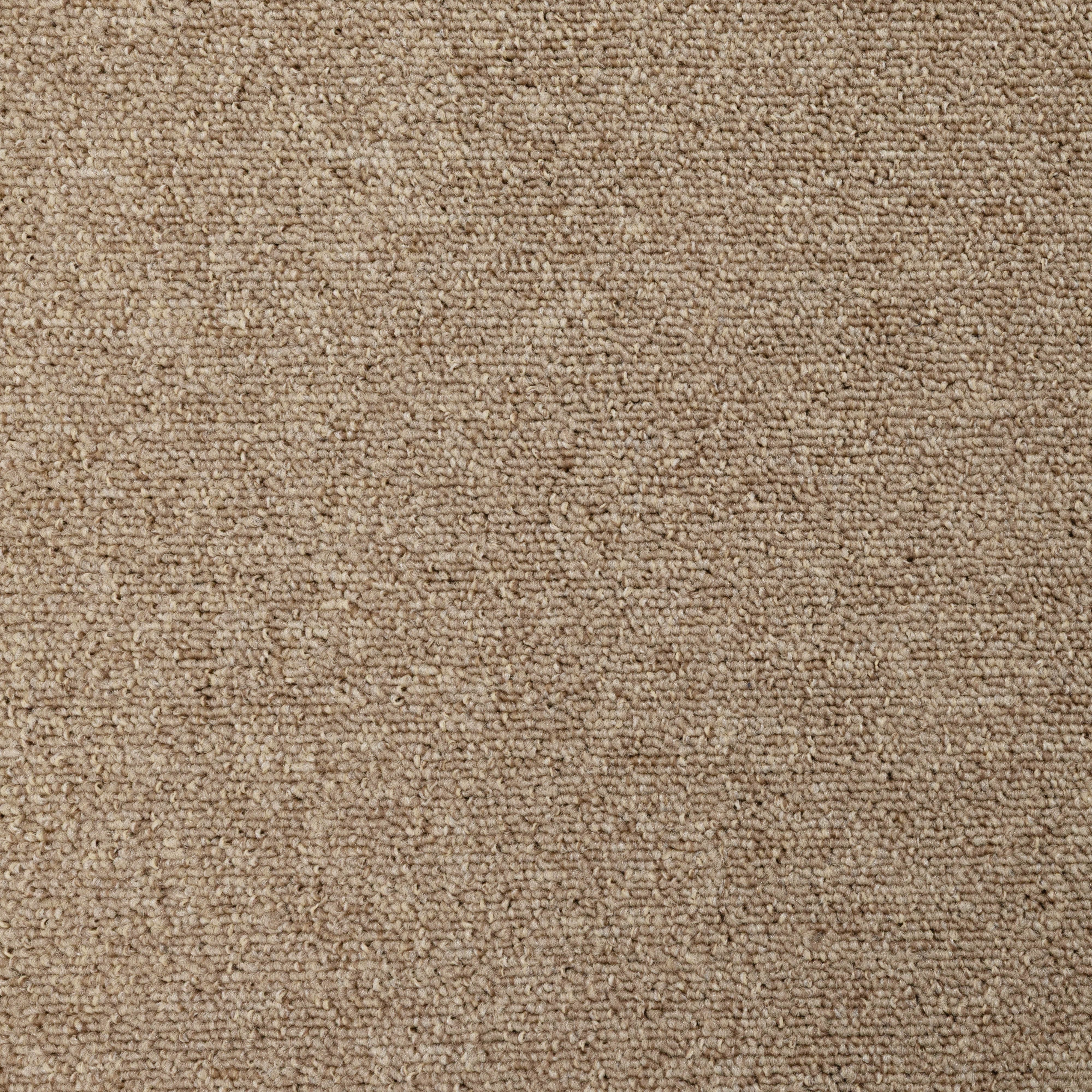 Beige Classic Loop Carpet tile, (L)500mm x (W)500mm