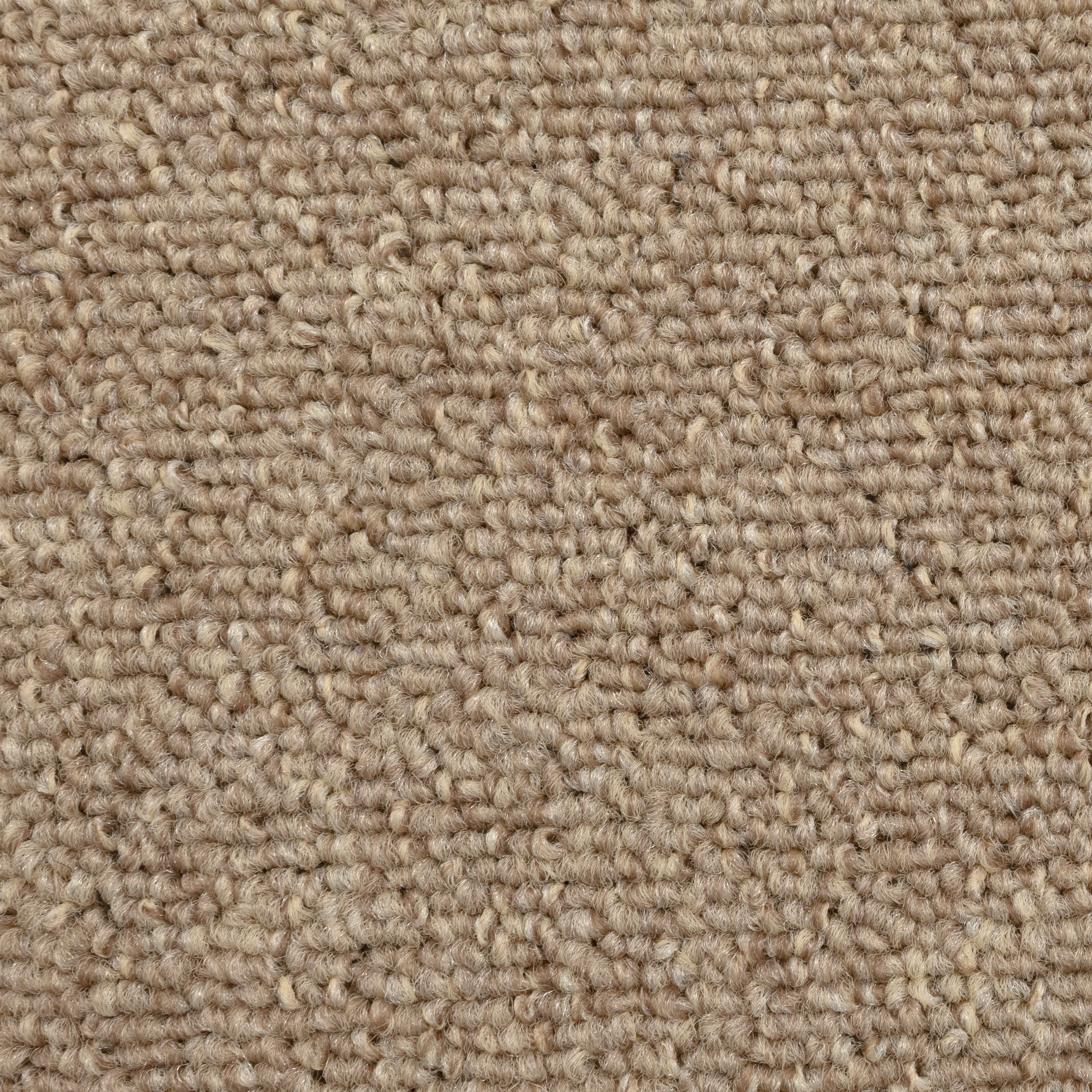 Beige Classic Loop Carpet tile, (L)500mm x (W)500mm