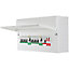 BG 10-way Dual RCD Consumer unit with 100A mains switch