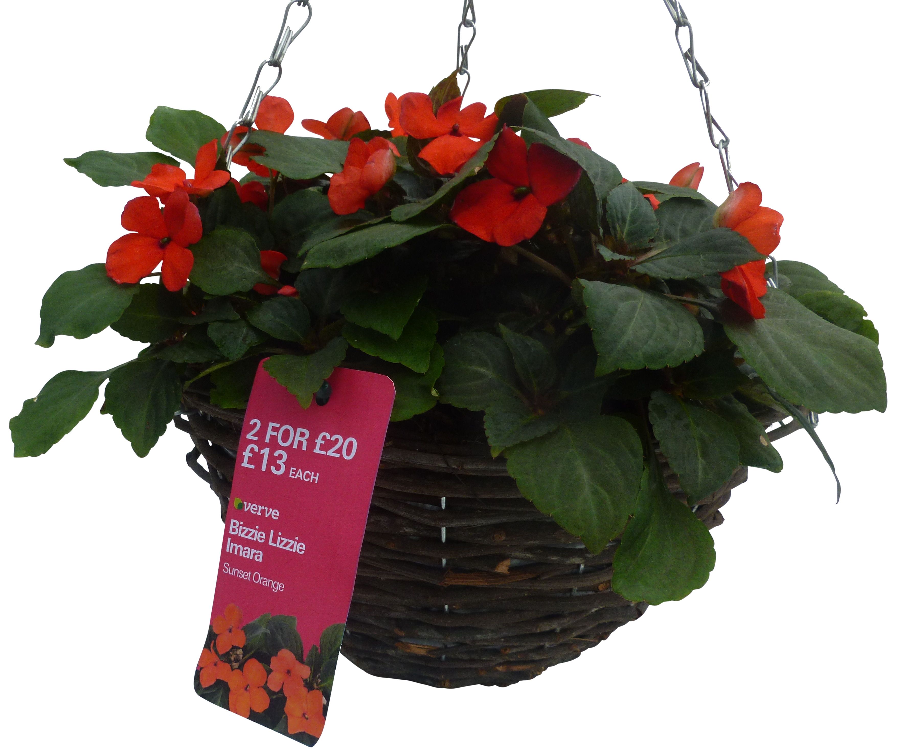 Bizzie lizzie DIY at B&Q