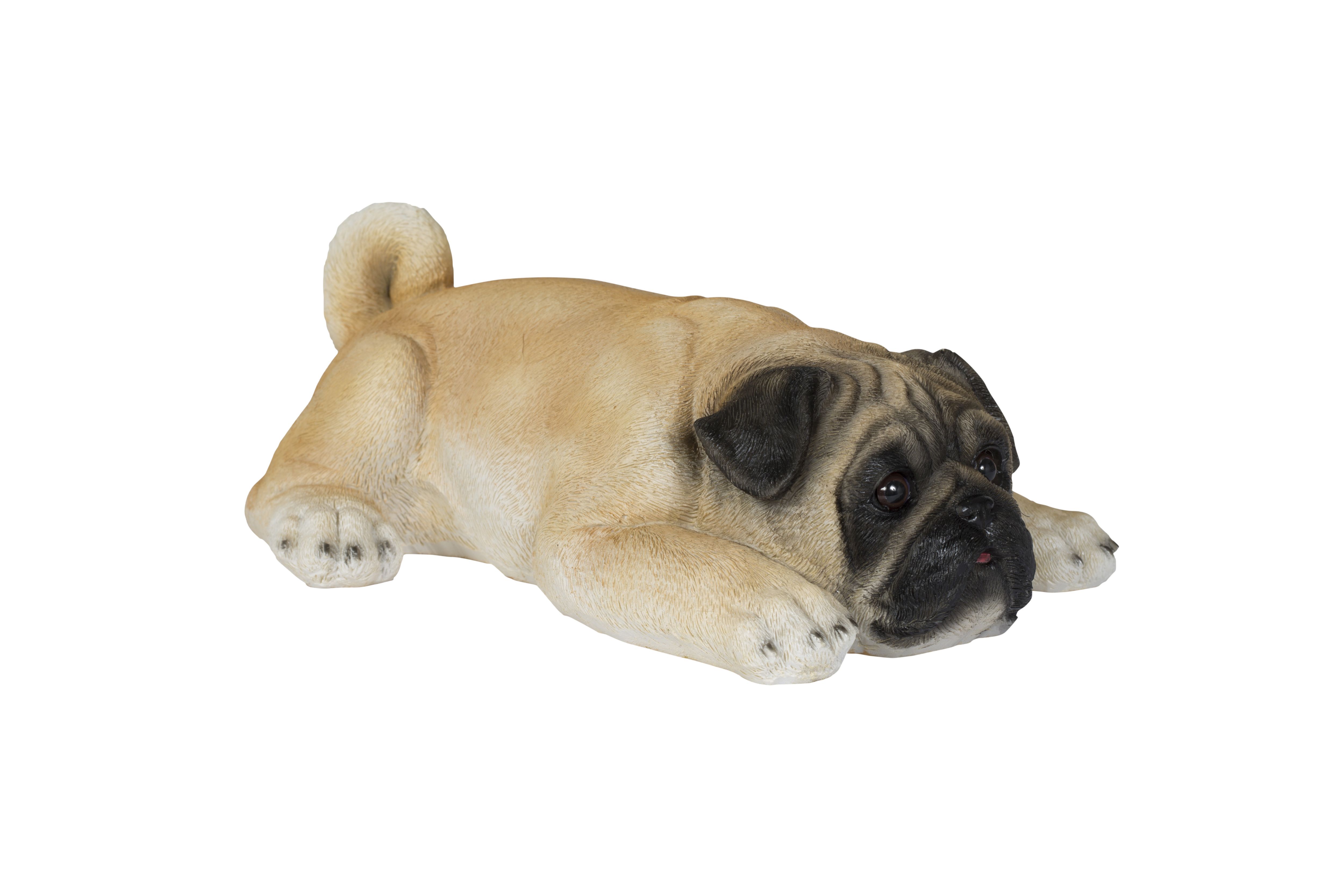Black, brown & white Resin Pug Garden ornament (H)10.2cm