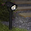 Black Solar-powered LED Outdoor Spike light