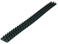 Black Wall spikes